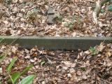 image of grave number 156014